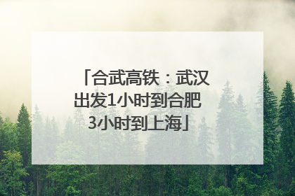 合武高铁：武汉出发1小时到合肥3小时到上海