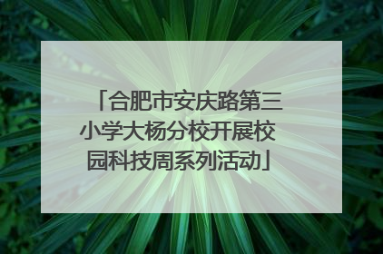 合肥市安庆路第三小学大杨分校开展校园科技周系列活动