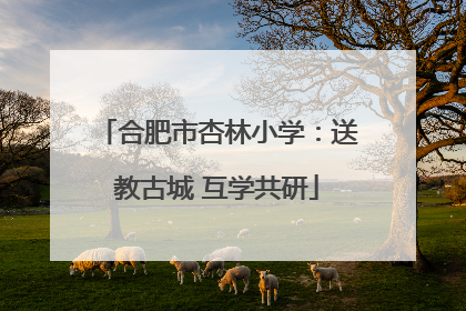 合肥市杏林小学：送教古城 互学共研