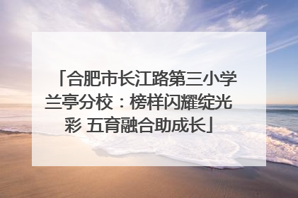 合肥市长江路第三小学兰亭分校：榜样闪耀绽光彩 五育融合助成长