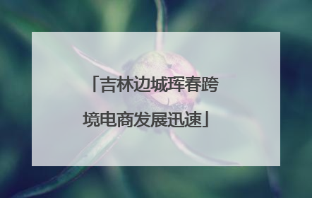 吉林边城珲春跨境电商发展迅速