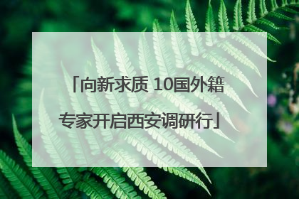 向新求质 10国外籍专家开启西安调研行