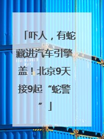 吓人，有蛇藏进汽车引擎盖！北京9天接9起“蛇警”