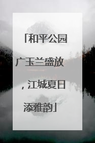 和平公园广玉兰盛放，江城夏日添雅韵