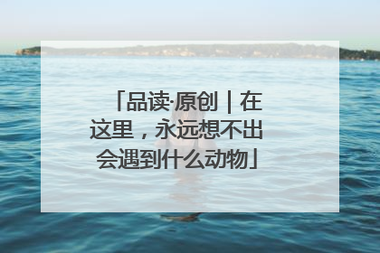 品读·原创｜在这里，永远想不出会遇到什么动物