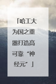 哈工大为国之重器打造高可靠“神经元”