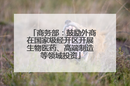 商务部：鼓励外商在国家级经开区开展生物医药、高端制造等领域投资