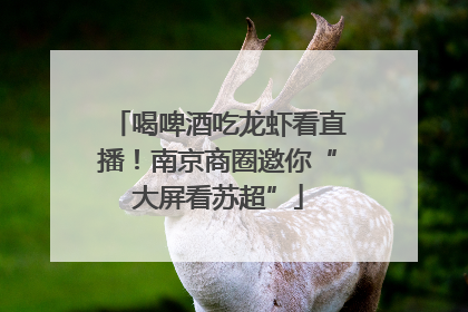 喝啤酒吃龙虾看直播！南京商圈邀你“大屏看苏超”
