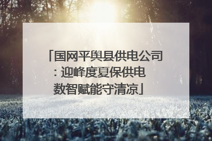 国网平舆县供电公司：迎峰度夏保供电  数智赋能守清凉
