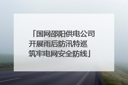 国网邵阳供电公司开展雨后防汛特巡 筑牢电网安全防线