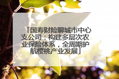 国寿财险聊城市中心支公司：构建多层次农业保险体系，全周期护航樱桃产业发展
