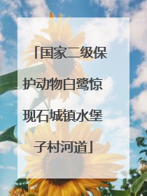 国家二级保护动物白鹭惊现石城镇水堡子村河道