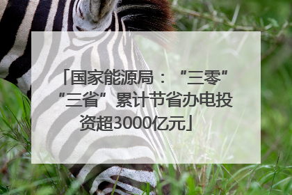 国家能源局：“三零”“三省”累计节省办电投资超3000亿元