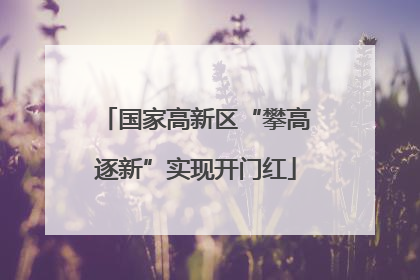 国家高新区“攀高逐新”实现开门红