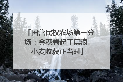 国营民权农场第三分场：金穗卷起千层浪 小麦收获正当时