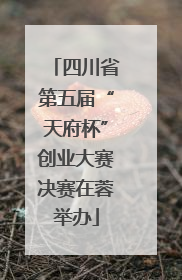 四川省第五届“天府杯”创业大赛决赛在蓉举办