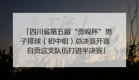 四川省第五届“贡嘎杯”男子排球（初中组）总决赛开赛 自贡这支队伍打进半决赛