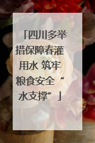 四川多举措保障春灌用水 筑牢粮食安全“水支撑”