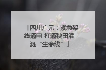 四川广元：紧急架线通电 打通秧田灌溉“生命线”