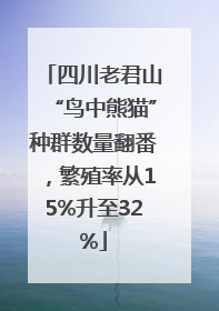 四川老君山“鸟中熊猫”种群数量翻番，繁殖率从15%升至32%