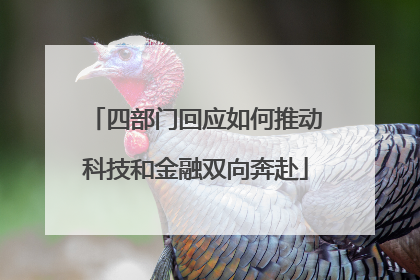 四部门回应如何推动科技和金融双向奔赴