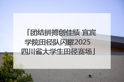 团结拼搏创佳绩 宜宾学院田径队闪耀2025四川省大学生田径赛场