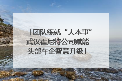 团队练就“大本事” 武汉霍尼特公司赋能头部车企智慧升级