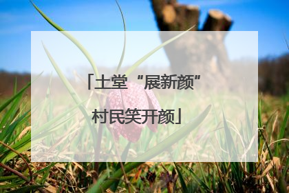 土堂“展新颜” 村民笑开颜