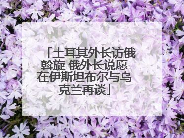 土耳其外长访俄斡旋 俄外长说愿在伊斯坦布尔与乌克兰再谈