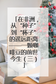 在非洲，从“种子”到“杯子”的遥远距离——一颗咖啡豆的前世今生（三）