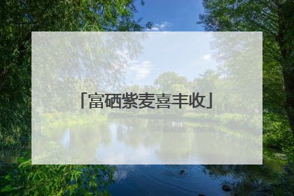富硒紫麦喜丰收