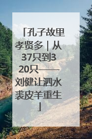 孔子故里孝贤多｜从37只到320只——刘健让泗水裘皮羊重生