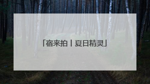 宿来拍丨夏日精灵