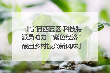 宁夏西夏区 科技特派员助力“紫色经济”酿出乡村振兴新风味