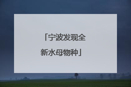 宁波发现全新水母物种