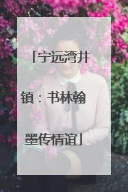宁远湾井镇：书林翰墨传情谊