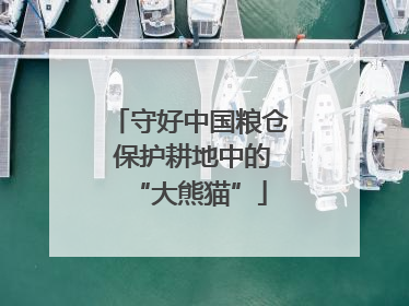 守好中国粮仓 保护耕地中的“大熊猫”