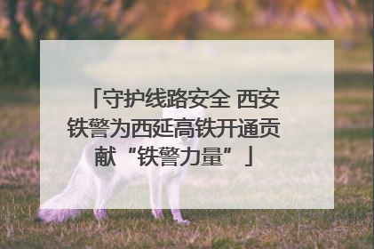 守护线路安全 西安铁警为西延高铁开通贡献“铁警力量”