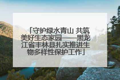 守护绿水青山 共筑美好生态家园——黑龙江省丰林县扎实推进生物多样性保护工作