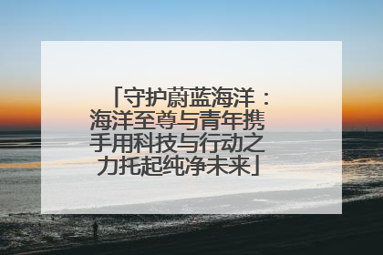 守护蔚蓝海洋：海洋至尊与青年携手用科技与行动之力托起纯净未来