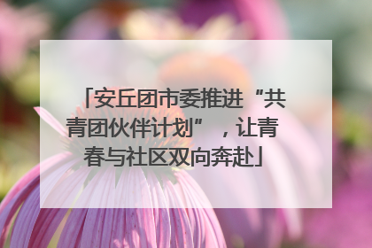 安丘团市委推进“共青团伙伴计划”，让青春与社区双向奔赴