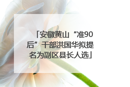 安徽黄山“准90后”干部洪国华拟提名为副区县长人选