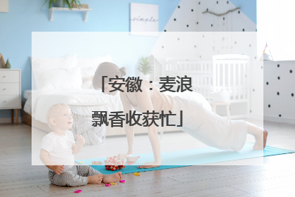 安徽：麦浪飘香收获忙
