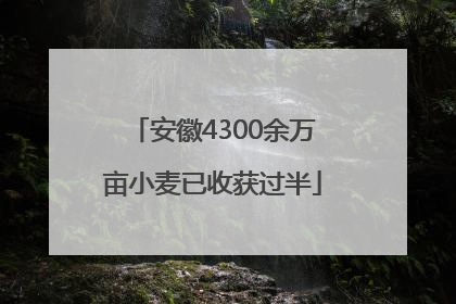 安徽4300余万亩小麦已收获过半
