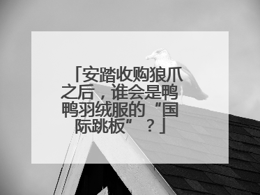 安踏收购狼爪之后，谁会是鸭鸭羽绒服的“国际跳板”？