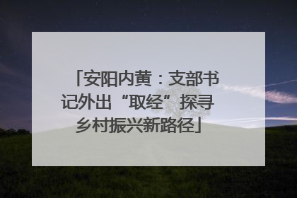 安阳内黄：支部书记外出“取经”探寻乡村振兴新路径