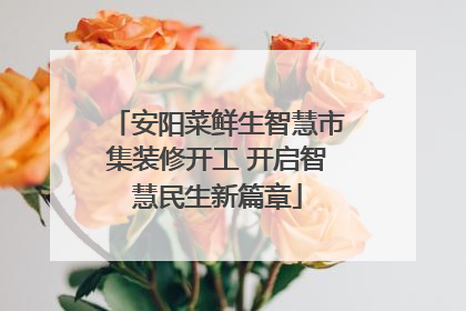 安阳菜鲜生智慧市集装修开工 开启智慧民生新篇章