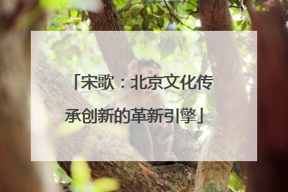 宋歌：北京文化传承创新的革新引擎