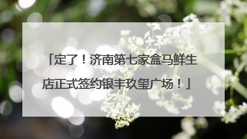 定了！济南第七家盒马鲜生店正式签约银丰玖玺广场！