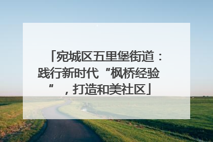 宛城区五里堡街道：践行新时代“枫桥经验”，打造和美社区
